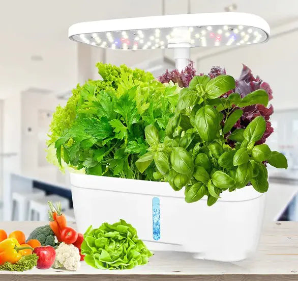 IntelliGrow LED Hydroponic Garden