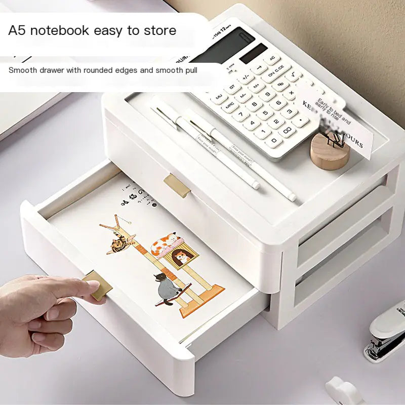 Functional Cosmetics Organizing Cabinet